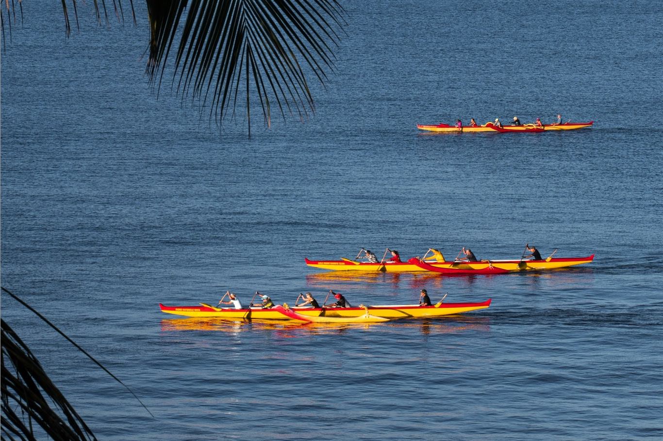 Canoe Paddle