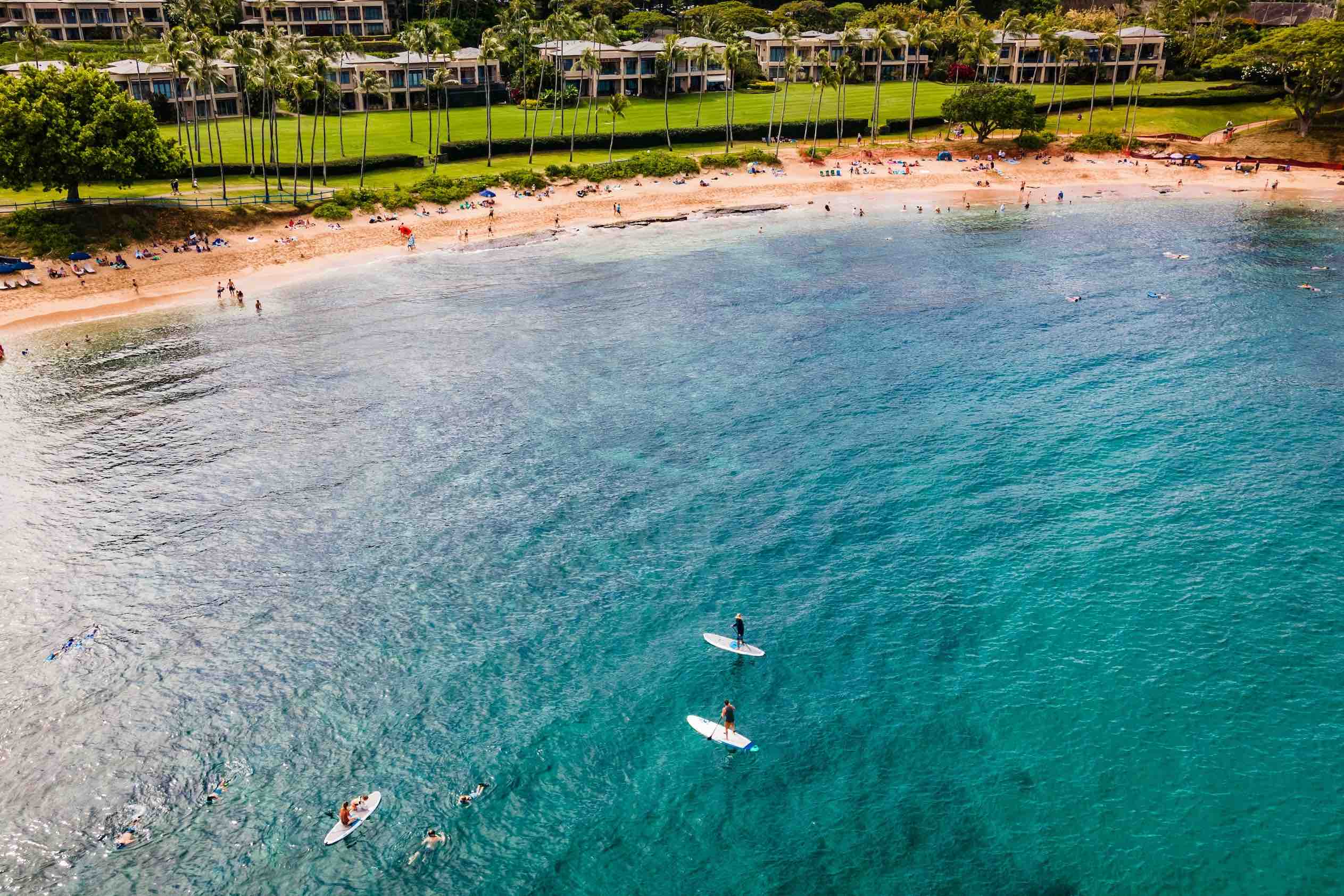 Stand Up Paddleboarding